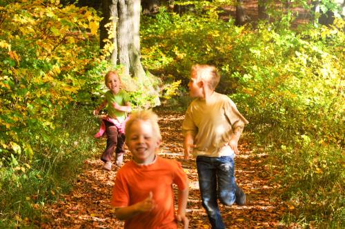 Kinder laufen durch einen Wald