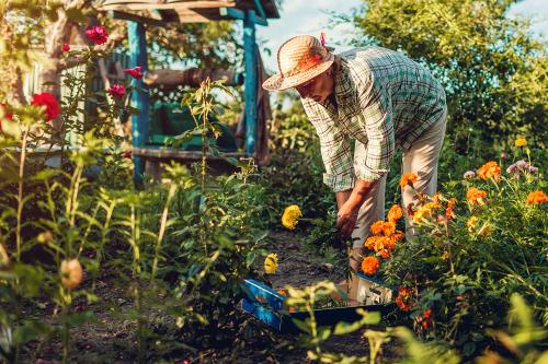Vrouw aan het tuinieren