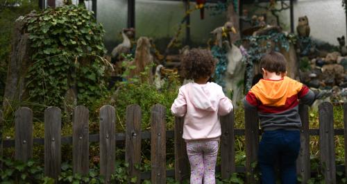 Children looking over fence