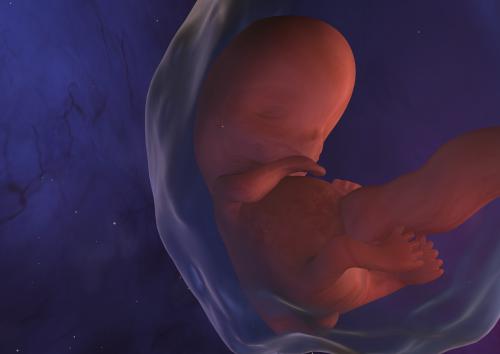Foetus in vruchtwater