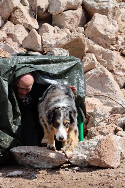 Un chien et une personne dans le tunnel QUADRO