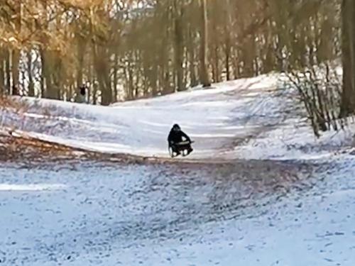 Le pilote descend la montagne sur sa luge QUADRO