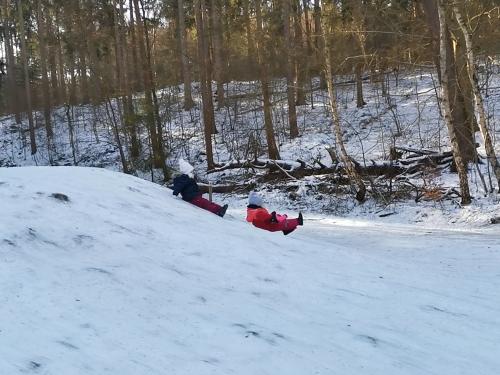 Les enfants glissent sur une petite pente