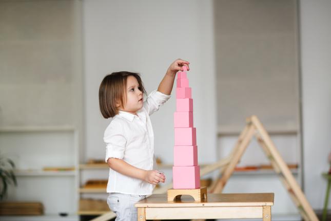 Girl with a pink tower